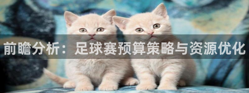  前瞻分析：足球赛预算策略与资源优化