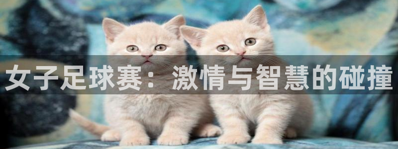 女子足球赛：激情与智慧的碰撞