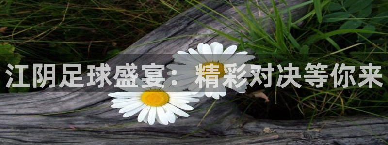  江阴足球盛宴：精彩对决等你来