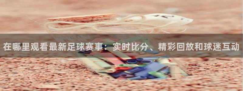 在哪里观看最新足球赛事：实时比分、精彩回放和球迷互动