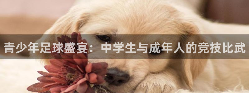 青少年足球盛宴：中学生与成年人的竞技比武