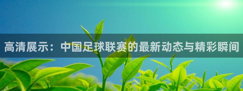  高清展示：中国足球联赛的最新动态与精彩瞬间