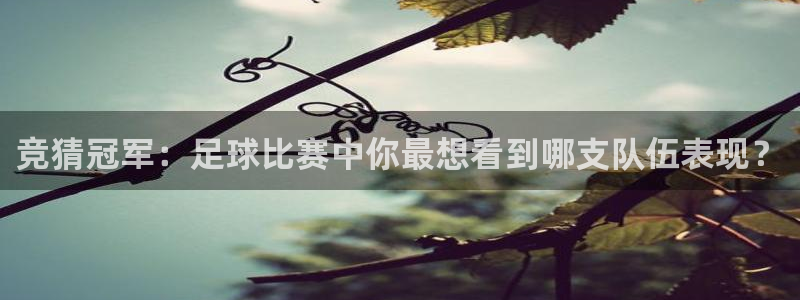  竞猜冠军：足球比赛中你最想看到哪支队伍表现？