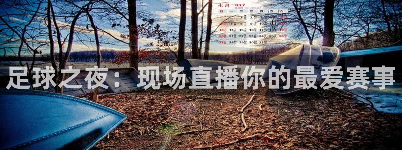 足球之夜：现场直播你的最爱赛事
