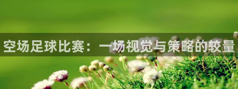  空场足球比赛：一场视觉与策略的较量