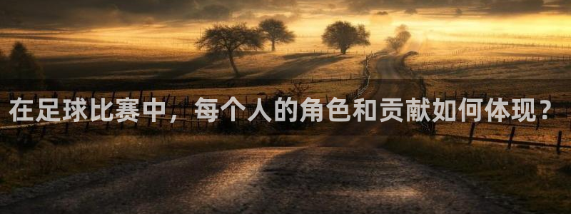 在足球比赛中，每个人的角色和贡献如何体现？