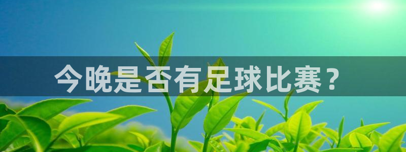  今晚是否有足球比赛？