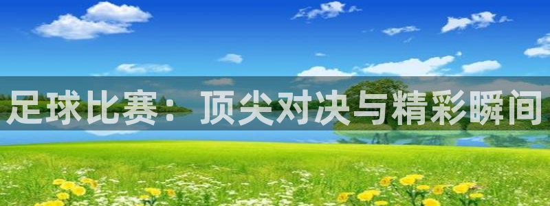  足球比赛：顶尖对决与精彩瞬间