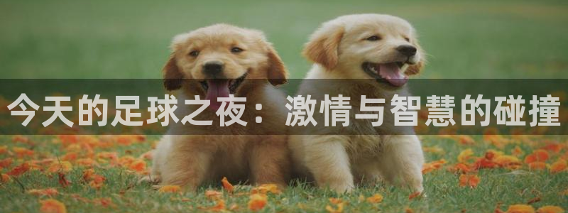 今天的足球之夜：激情与智慧的碰撞