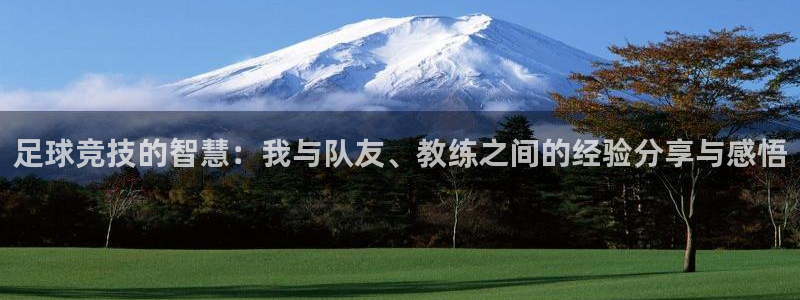  足球竞技的智慧：我与队友、教练之间的经验分享与感悟