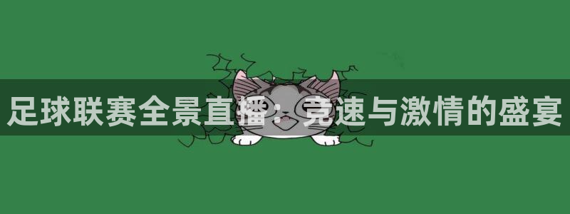 足球联赛全景直播：竞速与激情的盛宴