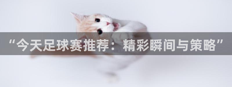  “今天足球赛推荐：精彩瞬间与策略”