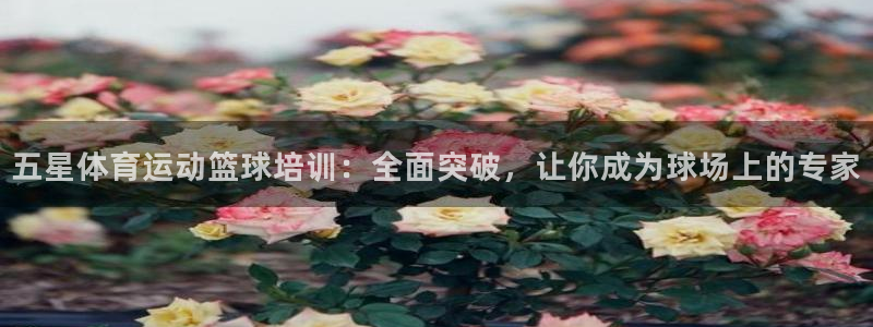 米兰体育平台