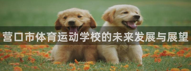米兰体育网址