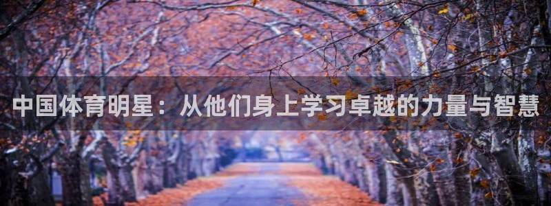 米兰体育下载官网最新版