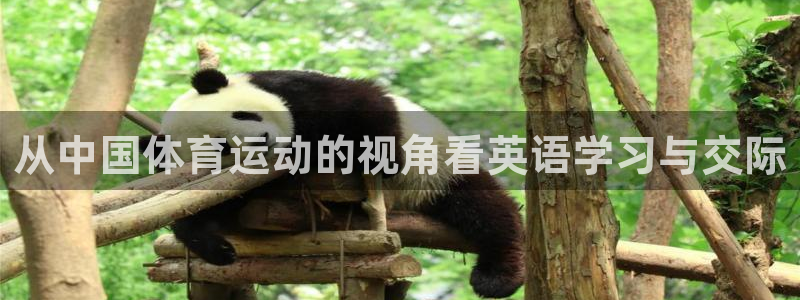 米兰体育场
