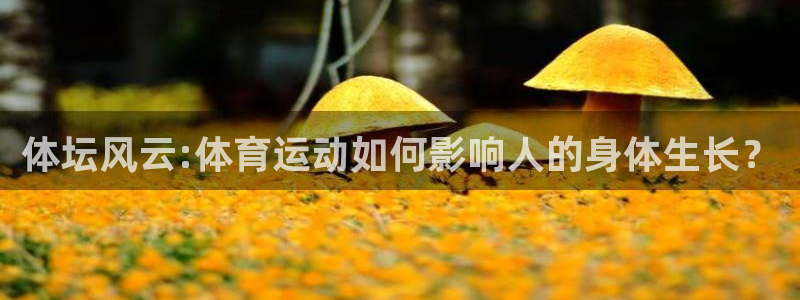 米兰体育