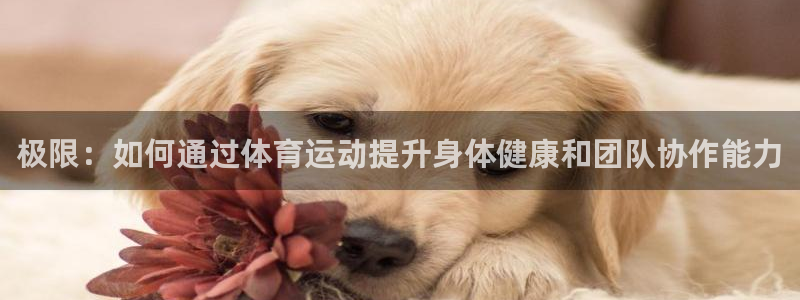 米兰体育网页版登录