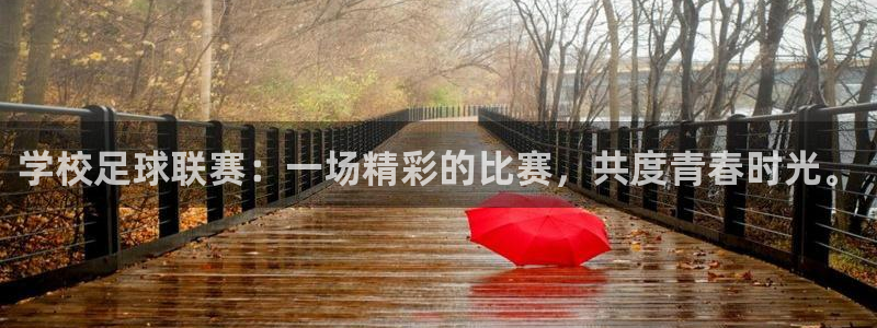 学校足球联赛：一场精彩的比赛，共度青