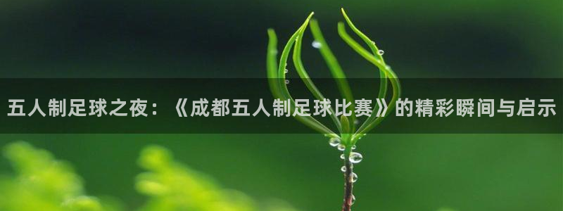 五人制足球之夜：《成都五人制足球比赛