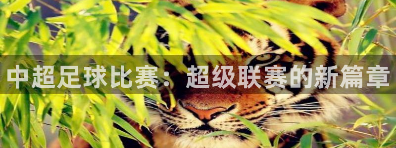 中超足球比赛：超级联赛的新篇章