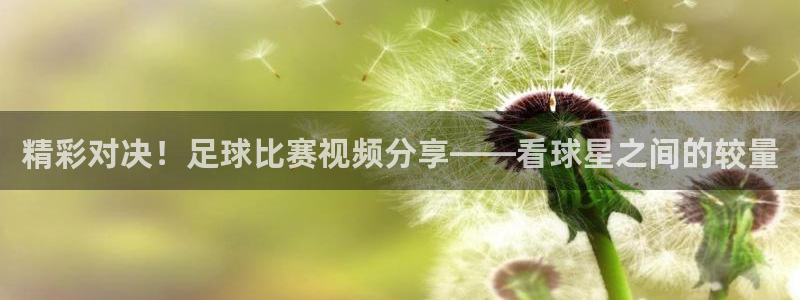 精彩对决！足球比赛视频分享——看球星