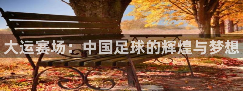 大运赛场：中国足球的辉煌与梦想