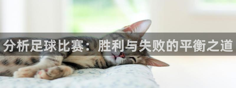 分析足球比赛：胜利与失败的平衡之道