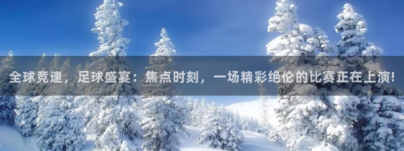 全球竞速，足球盛宴：焦点时刻，一场精