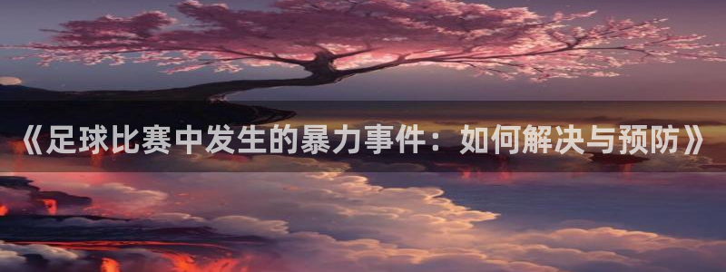 《足球比赛中发生的暴力事件：如何解决