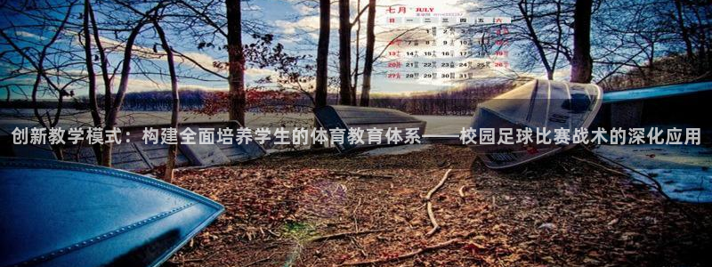 创新教学模式：构建全面培养学生的体育