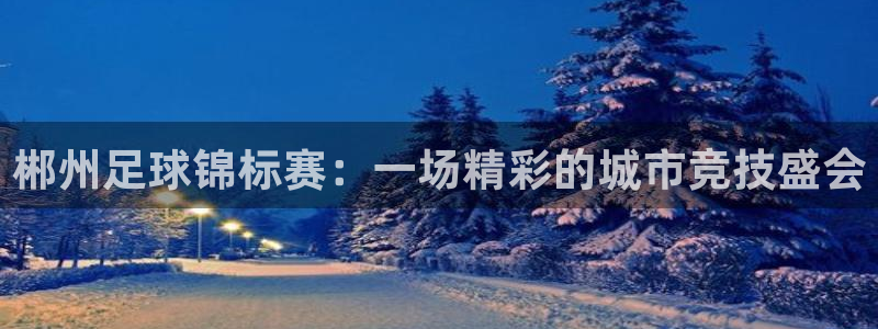 郴州足球锦标赛：一场精彩的城市竞技盛