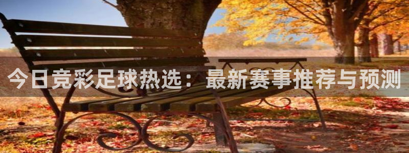 今日竞彩足球热选：最新赛事推荐与预测