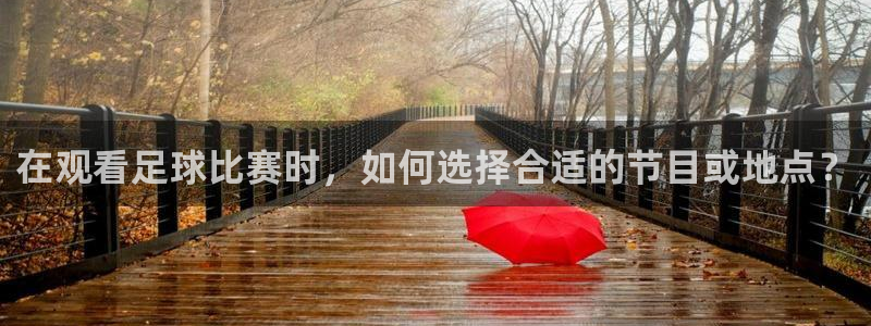 在观看足球比赛时，如何选择合适的节目